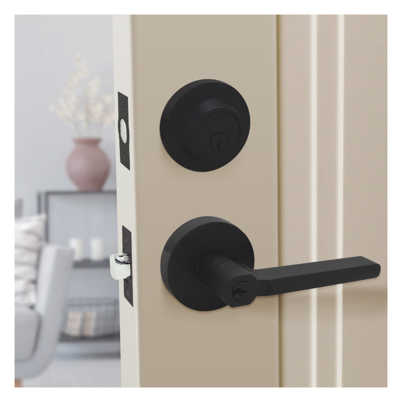 Poignée de porte avec rosette ronde, Noir mat