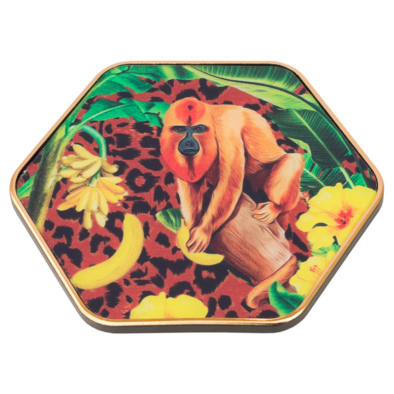 Baboon Design Animal Print Coasters