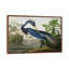 «Wick Louisiana Heron» par John James Audubon, reproduction sur toile-1020675319-1020675318-1046093009