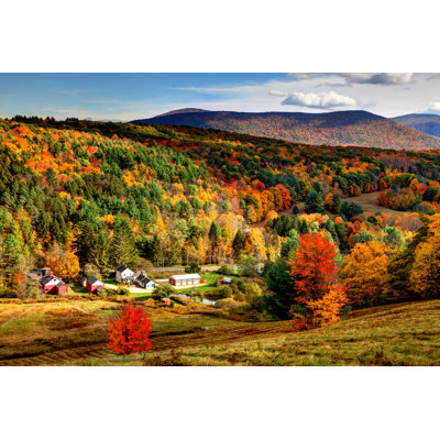 Autumn Foliage - Wrapped Canvas Print