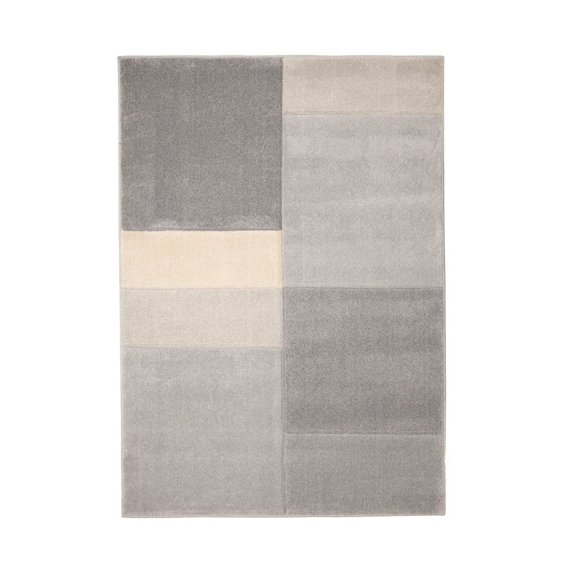Delyle Oriental Area Rug, Rectangle 80 x 150 cm