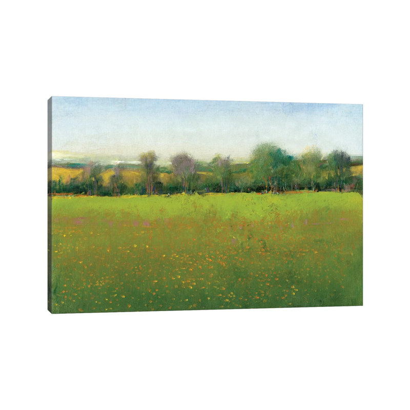 Verdant Countryside I by Tim OToole - Wrapped Canvas Gallery-Wrapped Canvas Giclée, 20.32 cm H x 30.48 cm W