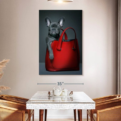 French Bulldog In A Bag
