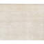 Area Rug in Beige