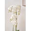 115cm Faux Plant in Cement Pot