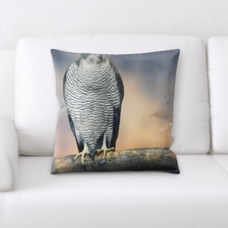 Coussin oiseau