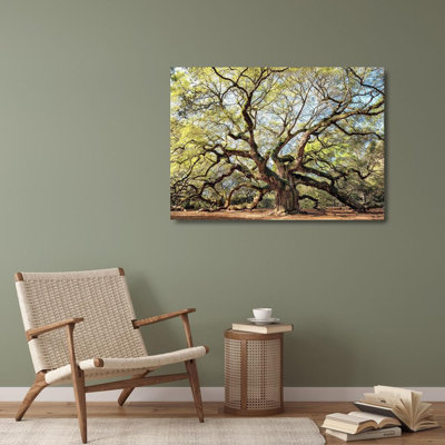 Tête de Lark Manor ™, art sur toile tendue par Danny Gallery, chêne ange
