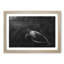 Sea Turtle - Picture Frame Painting Print-56705583-56705588