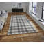 Macfoy area rug Machine Woven Rectangle Cream/Grey-19491416