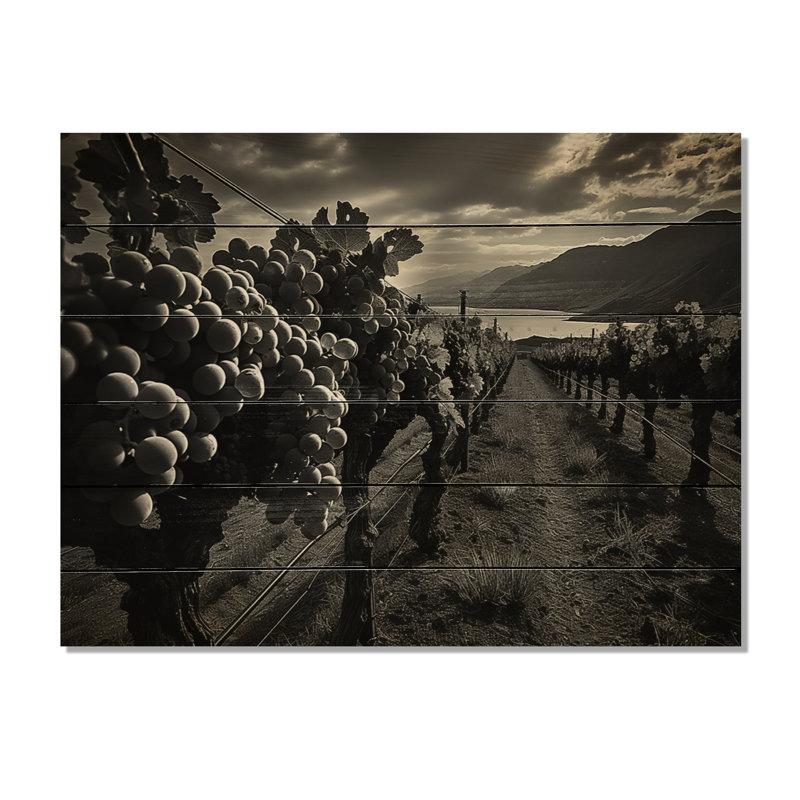 Boltuch Scenic Vineyard en monochrome sur bois, H 30 po x l 40 po x P 0,78 po