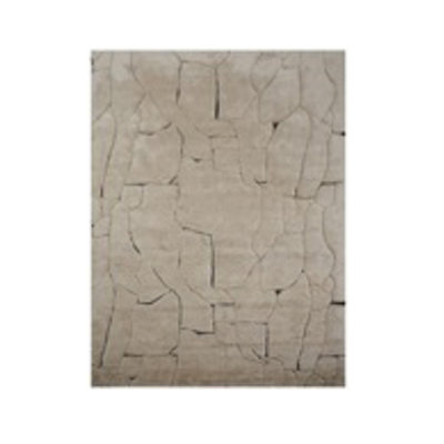 Tapis Bhawan 13 pi x 10 pi