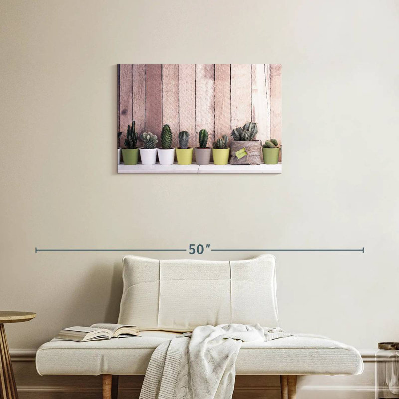 Harnek Succulent Plant Pots, 20" H x 30" W