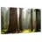 Harnek Kings Canyon Redwood-107679619