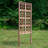 Addalee Premium Cedar Griffin Trellis