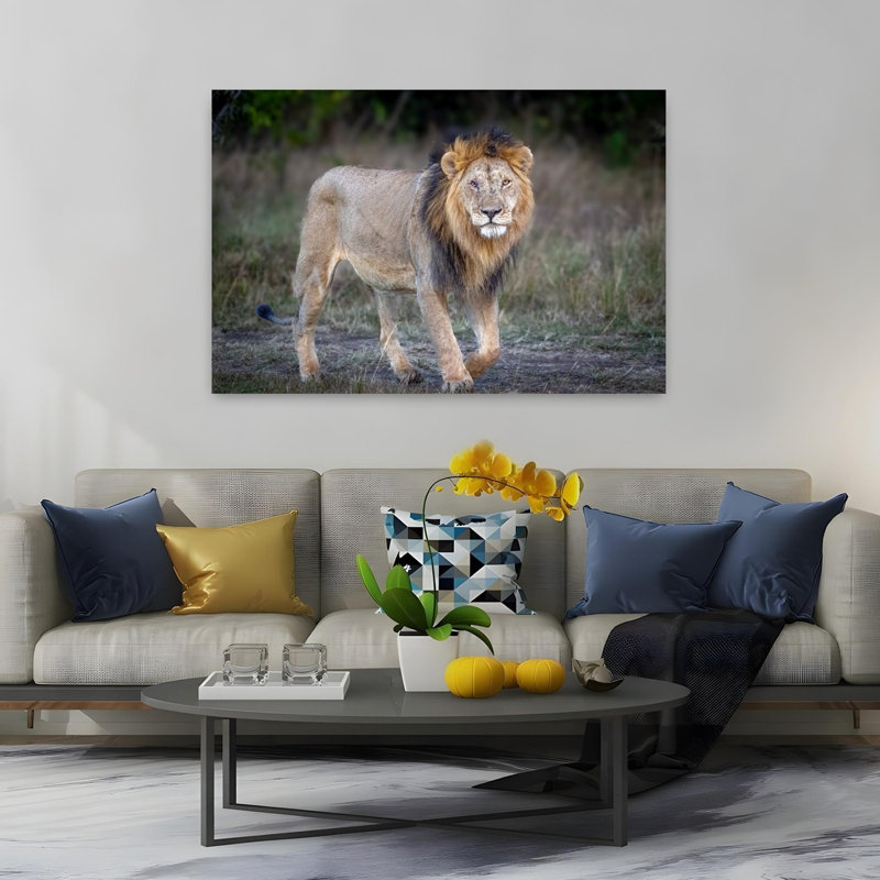 Majestic African Lion Contemporary Cat Lion Nature Wildlife Wall Art Print, 101.6cm H x 152.4cm W