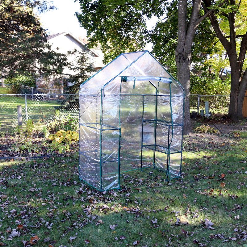 Gulianna 4.5' x 2' x 6.5' Outdoor Portable Walk-In Greenhouse with 4 Shelves with a Clear Cover
