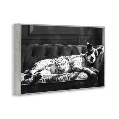 Lounging Dog In Sun Framed Giclee Art, Design By Lsr Creative Studio