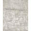 Area Rug in Gray-1089963288