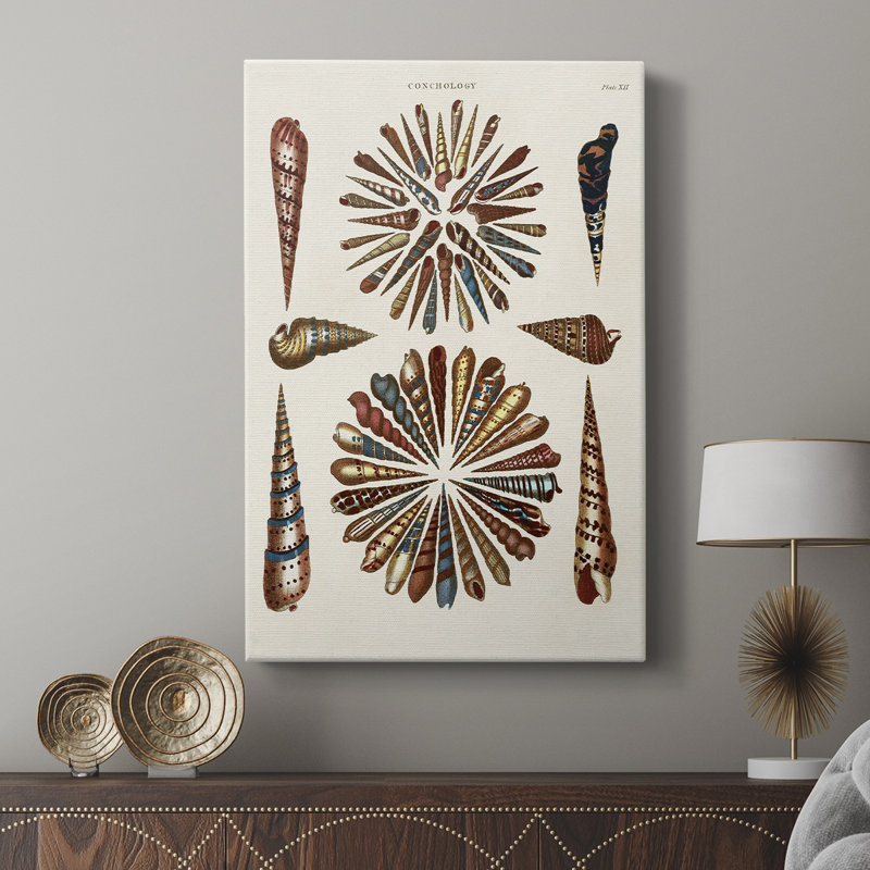 Spiral Shell Formation III - galerie Cavas sur mesure