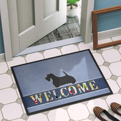Non-Slip Outdoor Doormat
