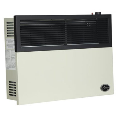 Ashley Hearth Products 17000 BTU Propane Wall-Mounted Space Heater