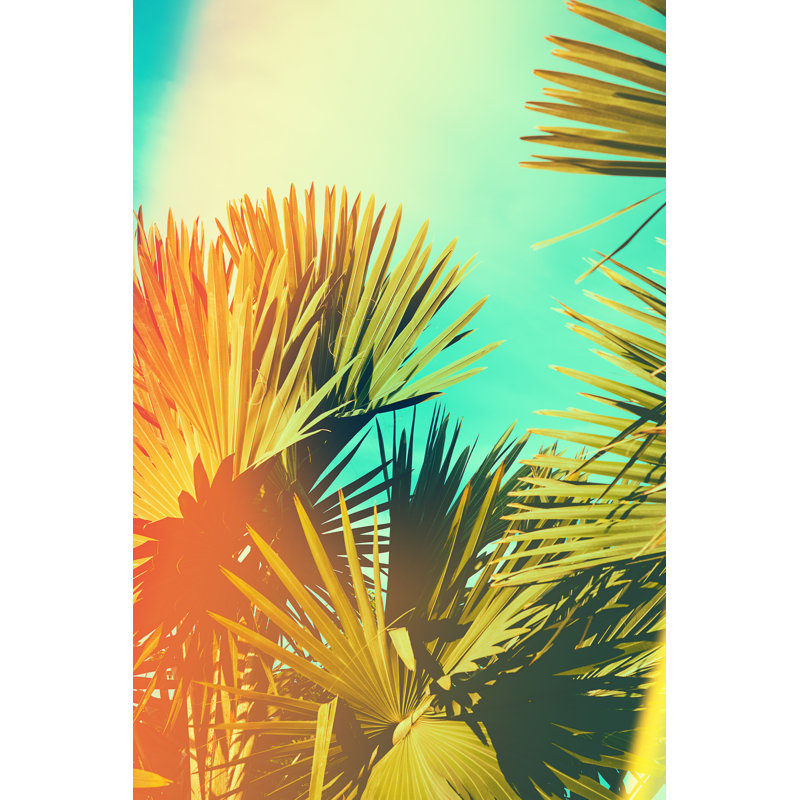 Palm Tree Retro Toned by Sk901 - Wrapped Canvas Print, 46cm H x 30cm W