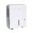 Keystone 22-pint Dehumidifier-124197925
