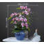 Simulation d'arrangement floral orchidée papillon-1547608251