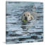 Coincé dans le trou-impression sur toile tendue-709143797
