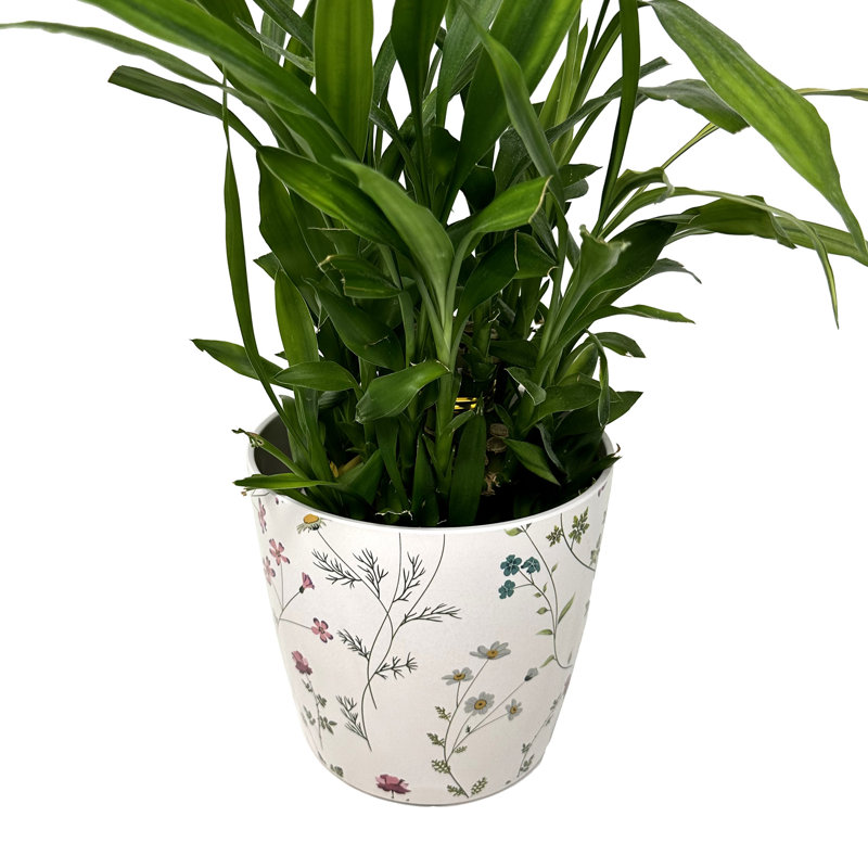 7" White and Multicolor Bamboo Fiber Self-Watering Pot