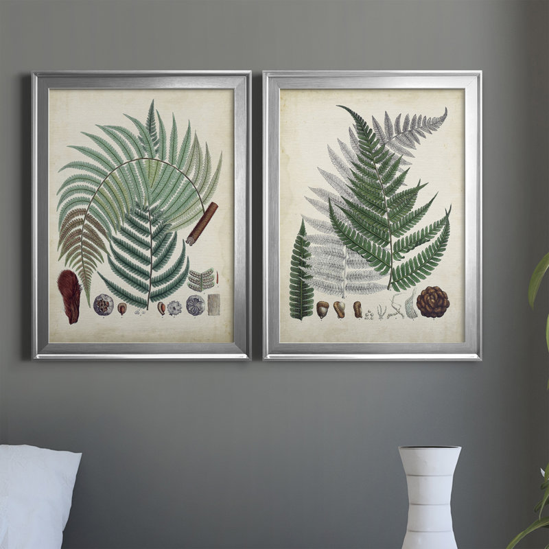 Collection de fougères I - ensemble de 2 impressions encadrées sur toile, H 42,5 po x l 30,5 po x P 1,25 po, Cadre argenté