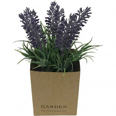 Arrangement floral lavande en pot