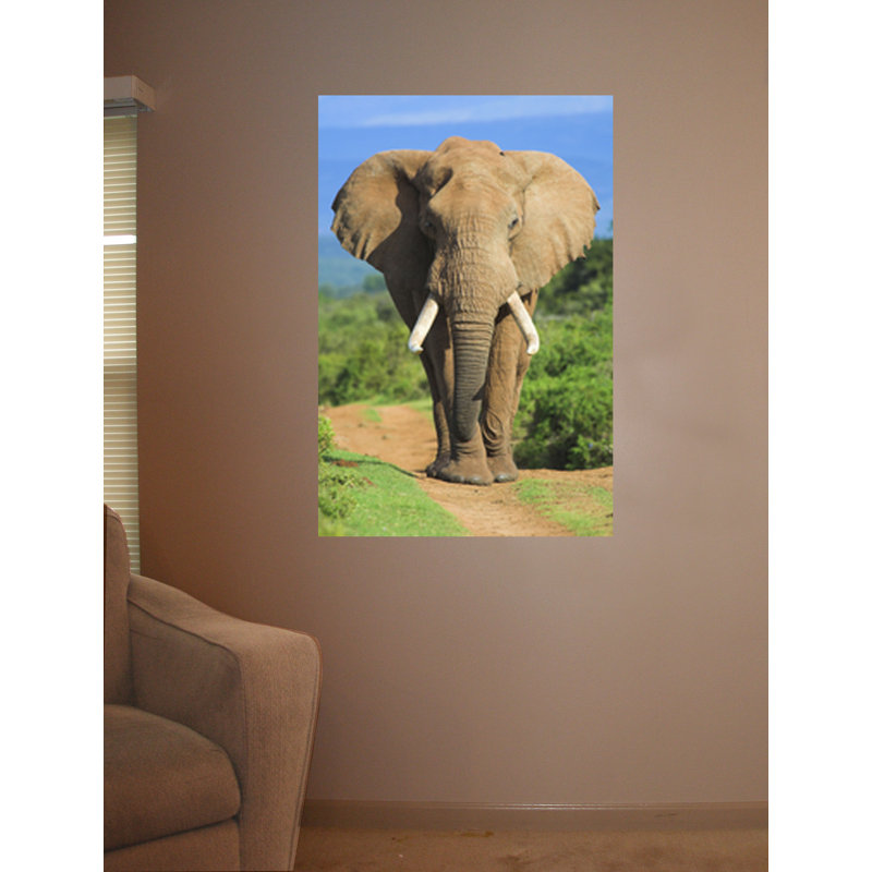 Adhésif décoratif éléphant, H 48 po x l 32 po x P 0,1 po