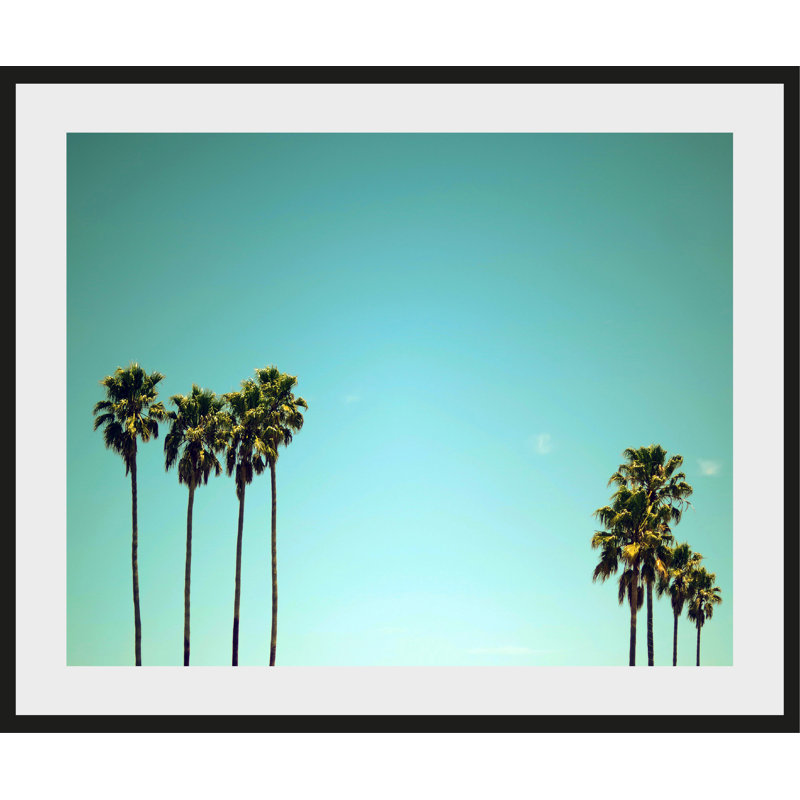 Palm - Single Picture Frame Print