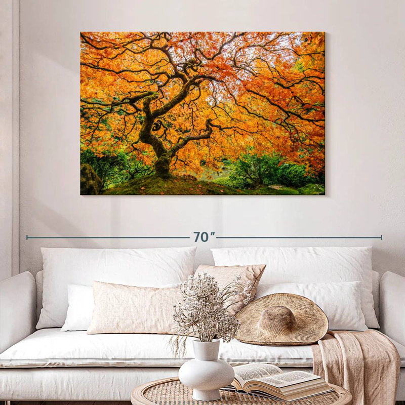 Harnek Oregon Japanese Maple, 32" H x 48" W