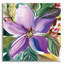 Art mural en verre floral Floral Burst 2 'par Kristy-825492441