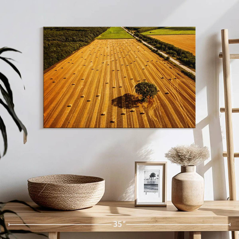 Alvord Hay Bales Fields, H 16 po x l 24 po