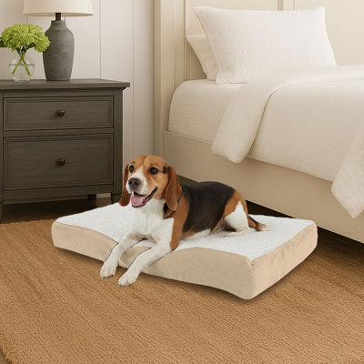 PETMAKER 2-Layer Orthopedic Dog Bed - 30x20.5 Pet Bed for Medium Dogs, Tan 