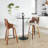 Ashton 26" Fixed-Height Counter Stools with Bent Wood Legs & Square Footest-129488609