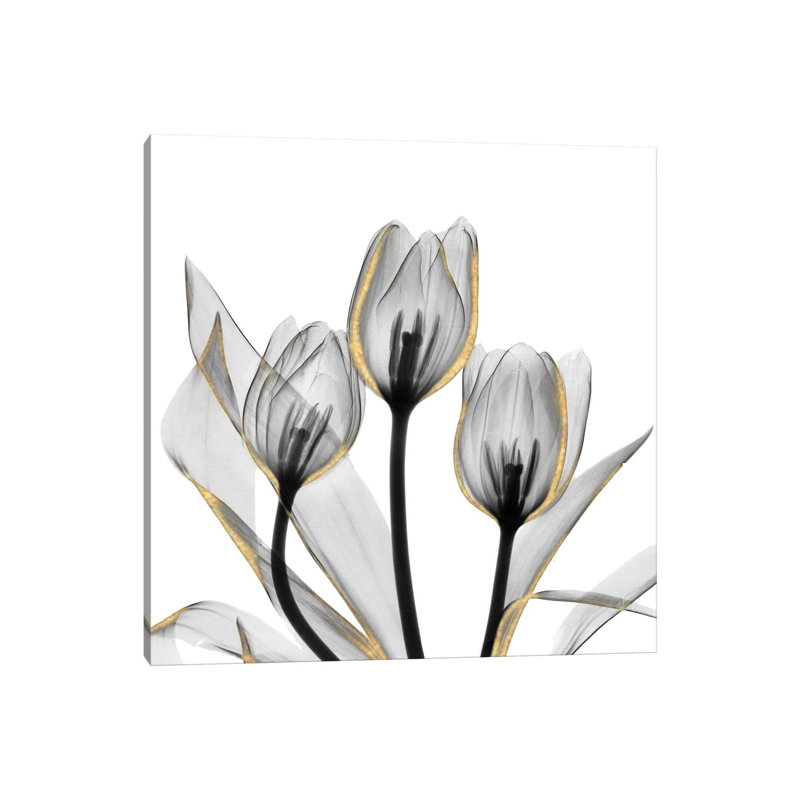 Gold Embellished Tulips V by Albert Koetsier - Wrapped Canvas Print, 45.72 cm H x 45.72 cm W x 1.91 cm D