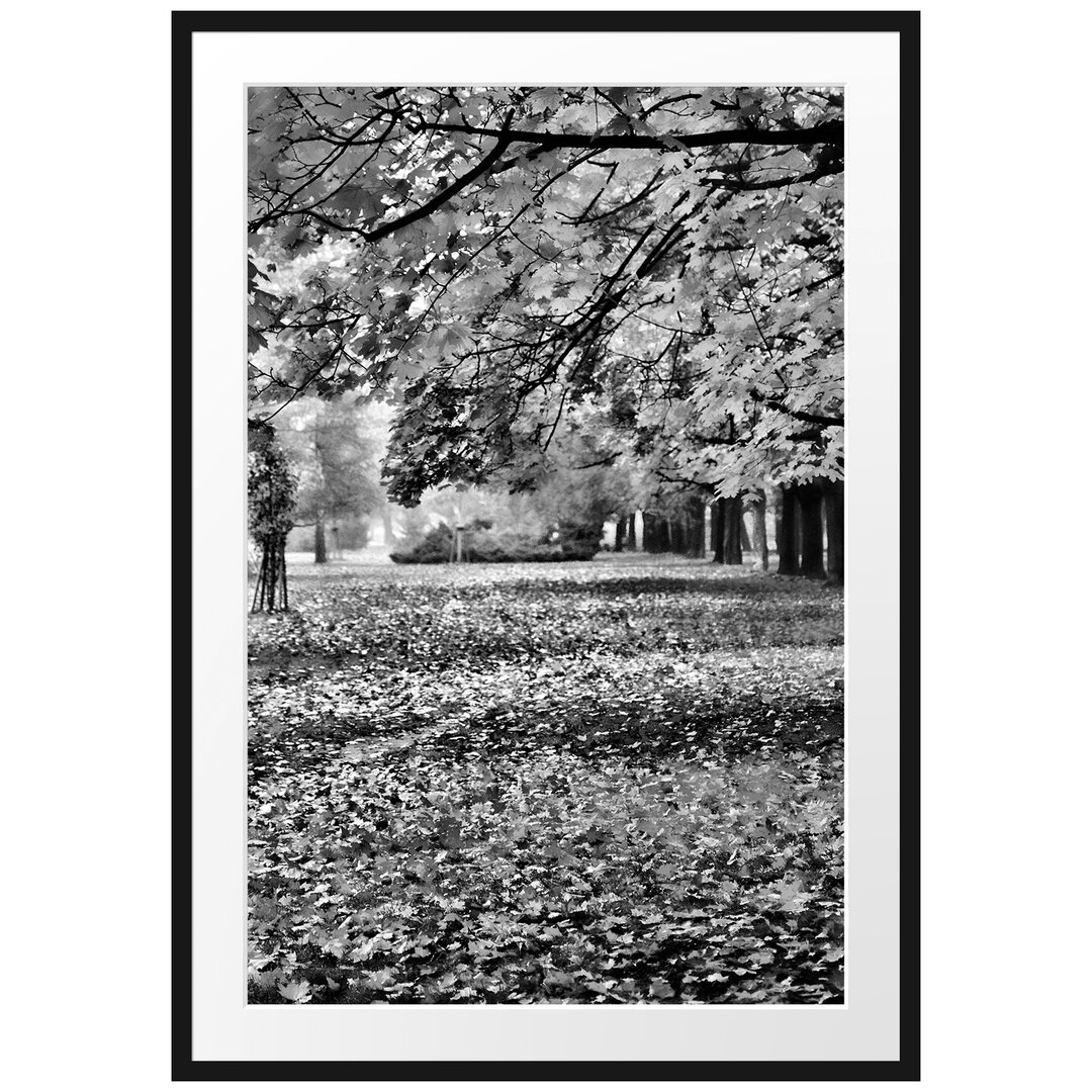 Gerahmtes Poster Rot gefärbter Park im Herbst