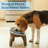 Elevated Pet Feeding Tray - 21″ x 11″ x 8.5″ Raised Dog Bowl Stand with Splash Guard and Non-Skid Feet - Comfortable Mealtime for Dogs and Cats (Brown/Gray)