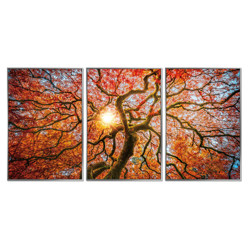 Single Picture Frame Print on Plastic / Acrylic