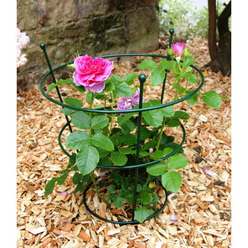 Aureon Metal Plant Support, Green, 63.5cm H x 40.6cm W x 40.6cm D