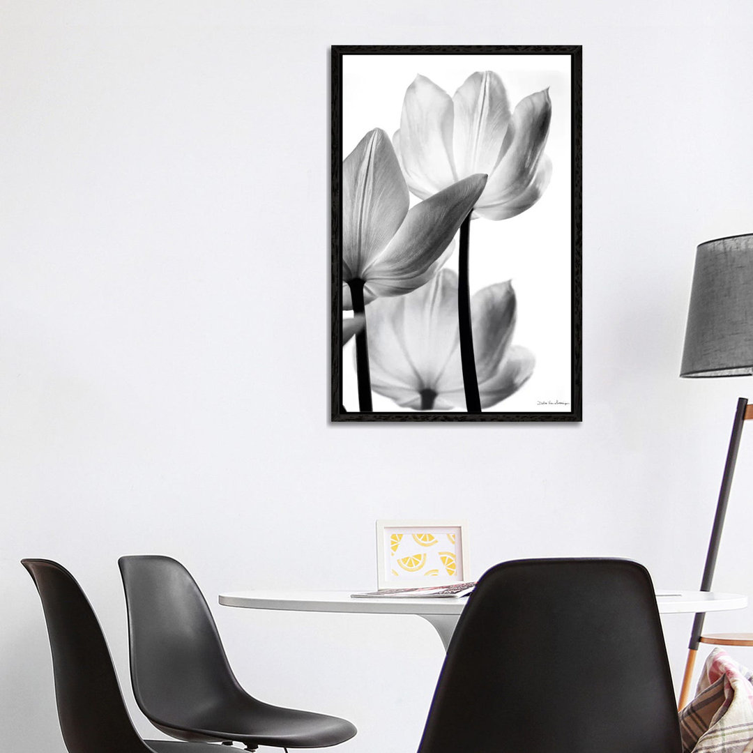 Leinwandbild Translucent Tulips III von Debra Van Swearingen