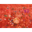 Tapis art déco chinois des années 1930 (11 pi 10 po x 14 pi 3 po - 360 x 435)