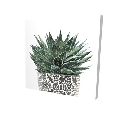 Toile succulente bohémienne zèbre | Décoration botanique