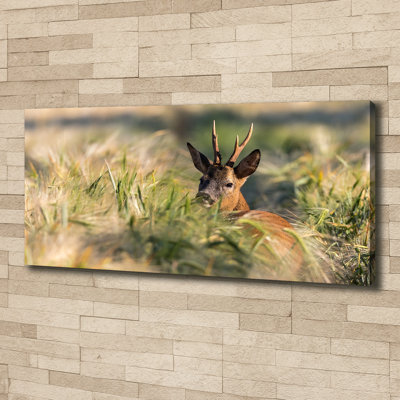 Deer in the Field 1 Piece Wall Art on Canvas