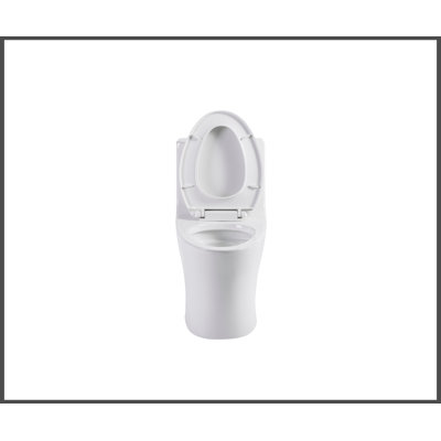 1.1/1.6 GPF Tornado Flush One-Piece Toilet Elongated, Siphonic S-trap 12",Soft Closing Seat, Button on Tank top ,Powerful Dual Flush MAP 1000g, Comfort Chair Seat ADA Height 17", Glossy White GW-002