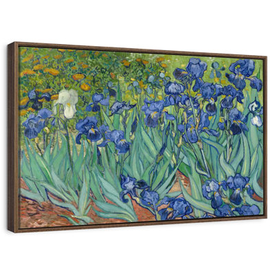 Irises 1889